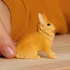 Schleich Farm World Löwenkopfkaninchen         13974 Produktbild-Vorschau 2