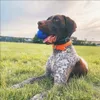Chuckit! Hundespielzeug Super Crunch Ball, Größe: M Produktbild-Vorschau 5