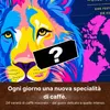 BOXILAND® caffè macinato calendario avvento 2026, 24 tipi, Anteprima dell’immagine prodotto 3