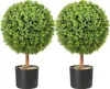 SucceBuy Arbres artificiels en forme de buis 24 pouces de Voir les images du produit 1