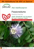 SAFLAX Garden in the bag - Passionsblume - Passiflora Produktbild-Vorschau 1