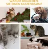 PawHut Kratzbaum Katzenbaum mit Spielbällen Katzenkratzbaum Produktbild-Vorschau 7