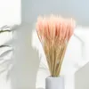 Getrocknete Triticale Pflanzen in Rosa, ca. 60 cm lang, ca. Produktbild-Vorschau 3