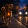 Pendentif Lumineux LED pour Chien Chat, Collier Sécurité Voir les images du produit 6