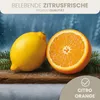 HAF Saunaaufguss Citro Orange 250 ml - Sauna Aufgussmittel Produktbild-Vorschau 2