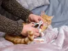 KERBL 7-in-1-Pflegeset für Katzen, rosa Produktbild-Vorschau 9