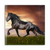 DEQORI Glasbild Echtglas 50x50 cm 'Schwarze Perle Produktbild-Vorschau 2