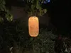 Globo Lighting Solarleuchte Bambus naturfarben, LED Produktbild-Vorschau 10