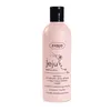 Jeju Shampoo Kokosnuss Mango Papaya Sampon Produktbild-Vorschau 3