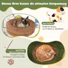 Collage of images showing cats in different beds, with descriptive text in German. Náhľad obrázku produktu
