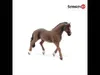 Schleich Horse Club        13909 Trakehner Wallach Produktbild-Vorschau 7
