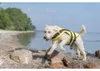 TRIXIE Schwimmweste für Hunde mit Reflektorstreifen und Produktbild-Vorschau 8