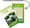 Flaschenkürbis Mischung Samen - Lagenaria siceraria - Produktbild-Vorschau 3