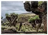 Kilimanjaro - das Dach Afrikas (Wandkalender 2027 DIN A4 Produktbild-Vorschau 9