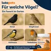 Lutopets, crema di arachidi per uccelli con frutti di bosco Anteprima dell’immagine prodotto 5
