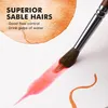 Aquarellpinsel Linierer Professionell - 4 Stück Produktbild-Vorschau 4