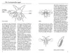 Der KOSMOS Insektenführer Produktbild-Vorschau 3