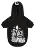 Killstar Hunde Kapuzenjacke - Witch In Training Hoodie M Produktbild-Vorschau 3
