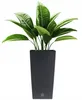 A tall, dark gray planter with a woven texture, containing a lush green plant with large leaves. Anteprima dell’immagine prodotto