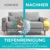 REINHORN Polsterreiniger mit Molekularbrecher ohne Produktbild-Vorschau 3