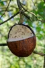 dobar Vogelfutter-Mix zum Aufhängen, gefüllte Kokosnüsse Produktbild-Vorschau 4