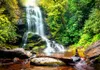 Vlies Fototapete 400x280 cm Tapeten Wandtapete XXL Natur Produktbild-Vorschau 2