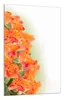 Wallario Wandbild Orangene Rosenblüten im Strauß, Größe: 61 Produktbild-Vorschau 2