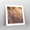 Poster - Poster ohne Rahmen - Boho Ähren Feld - 40x40 cm - Produktbild-Vorschau 7