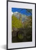 MuchoWow® MuchoWow® Gerahmtes Poster Oud - Pflanzen - Produktbild-Vorschau 1