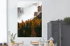 MuchoWow® Poster Kiefer - Herbst - Berg - Landschaft Produktbild-Vorschau 2