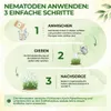 SF Nematoden gegen Erdflöhe - 10 Mio. für 20m² – Mittel Produktbild-Vorschau 4