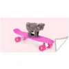 MuchoWow® Poster Katze - Kätzchen - Tiere - Skateboard - Produktbild-Vorschau 1