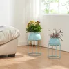 Two light blue plant stands with potted plants are placed on a wooden floor next to a light-colored sofa, with a window and white curtains in the background. Produktbild-Vorschau