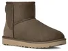 Dámské zimní boty UGG Classic Mini II, ovčí vlna, semiš, Náhled obrázku produktu 3
