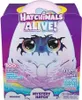 Kouzeln vajko Hatchimals Alive - Draci Náhled obrázku produktu 26