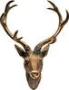 Bois de cerf Tête de cerf Bois à 10 branches de différentes Voir les images du produit 4