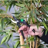 BRÜDER MANNESMANN Bypass-Gartenschere schwarz/grün Produktbild-Vorschau 3
