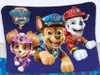 PAW Patrol - The Movie - Wende-Bettwäsche-Set, 135x200 & Produktbild-Vorschau 2
