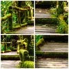 Bilder auf glas - Asien natur park brücke - 30x30cm - Produktbild-Vorschau 8