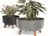 Two planters with plants on a white background. Náhľad obrázku produktu