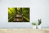MuchoWow® Poster Schöner Regenwald und Dschungel 30x20 cm - Produktbild-Vorschau 5