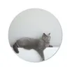 MuchoWow® Mauspad Mousepad Katze - Britisch Kurzhaar - Grau Produktbild-Vorschau 1