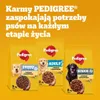 Hundefutter trocken Pedigree Proffessional Nutrition Adult Produktbild-Vorschau 7