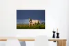 MuchoWow® Poster Pferde - Gras - Fohlen 90x60 cm - Produktbild-Vorschau 5