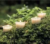 Four lit tea lights are placed on mossy ground in a forest setting. Podgląd zdjęcia produktu