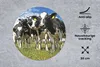 MuchoWow® Mauspad Mousepad Kühe - Gras - Wiese - Tiere Produktbild-Vorschau 2