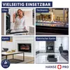 HANSE PRO Kamin- und Ofenscheiben-Reiniger 500ml (1er Pack) Produktbild-Vorschau 6