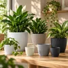 Prosperplast Pflanzentopf - Kunststoff - steingrau - D15 x Produktbild-Vorschau 5