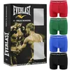 EVERLAST, heren boxershorts, 4-pack, katoenen ondergoed, Productafbeelding-voorbeeld 1