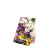 Bloomique - Mix 40 - Krokus - Krokus - Mix kolorów - Podgląd zdjęcia produktu 2